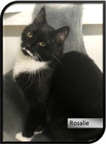 rosalie