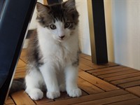DSCN0645