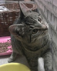 Charlie1