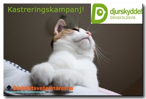 Namnlöst-3
