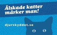 älskade_katter