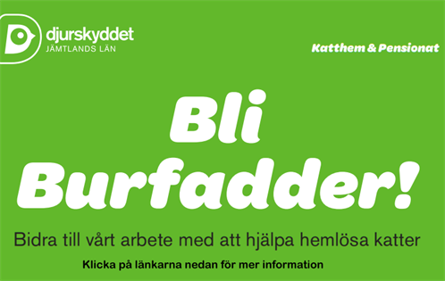 Burfadder-info2