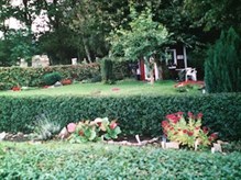 IMG_0523