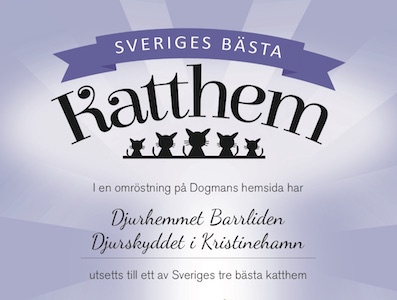 Diplom _katthem _kristinehamn 397
