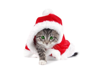 Kattunge Jul Tomte 397