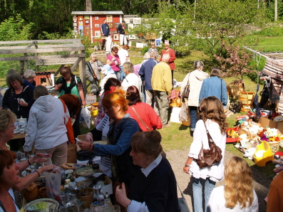 Storloppis 2010 397 (1)