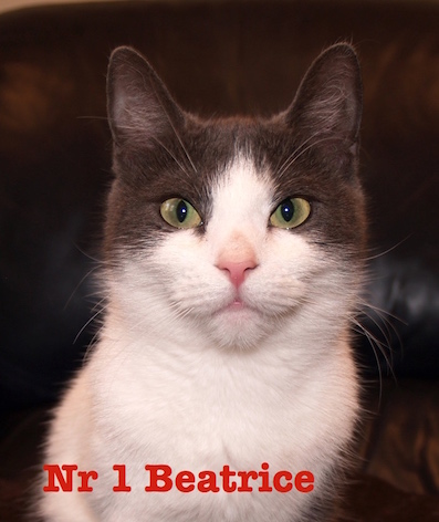 Nr 1 Beatrice 397 (1)