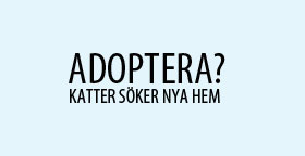 Adoptera Ljusturkos 280