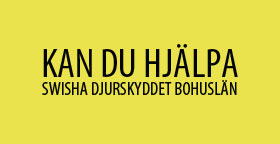 Swisha Gul 280