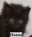 Hanna