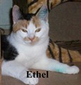 Ethel