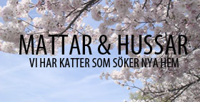 Mattarhussar Korsbar