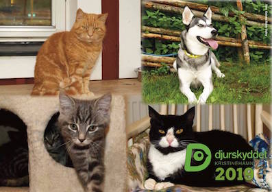 Djurskyddets Kalender 2019 Framsida 397