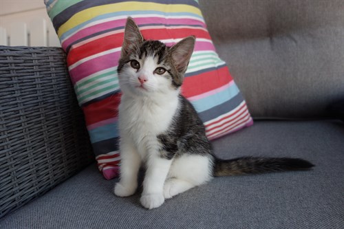 Luna (2)