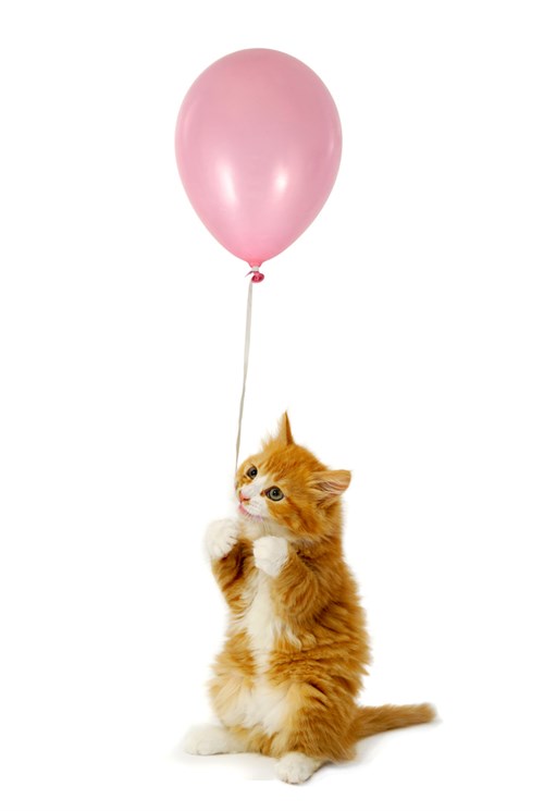 Katt _med _ballong2
