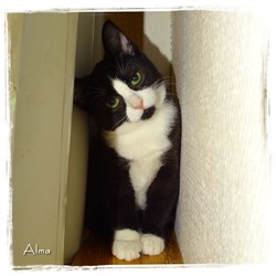 Alma (1)