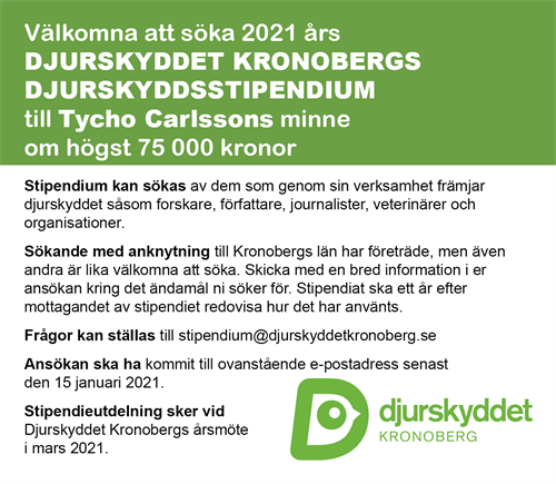 Annons Stipendium 2021 (115x 100)