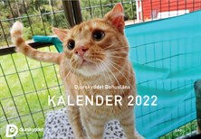 Kalender 2022