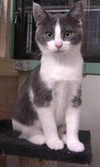 nellie2
