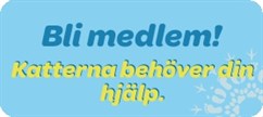 Namnlös5