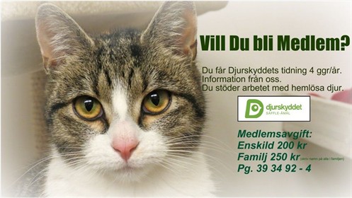 rätt